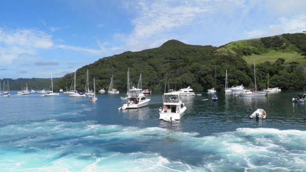 Great Barrier (Port Fitzroy)